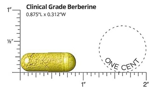 Dr. Berberina De Grau Clínico Whitaker 1.500 Mg Por Dose D - Imagem 3