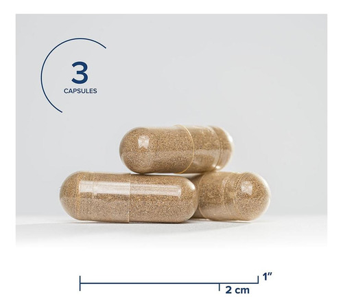 Nutrientes Para Estresse E Saúde Fórmula Balanceada - Imagem 7