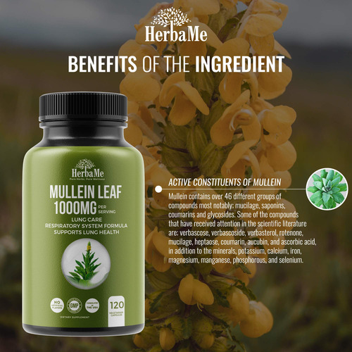 Suplemento Herbame Mullein Leaf 1000mg 120 Cápsulas - Imagem 5