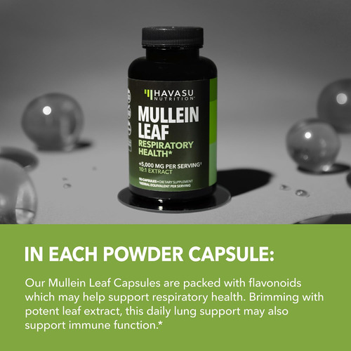Suplemento Havasu Nutrition Mullein Leaf 500mg 60 Cápsulas - Imagem 4