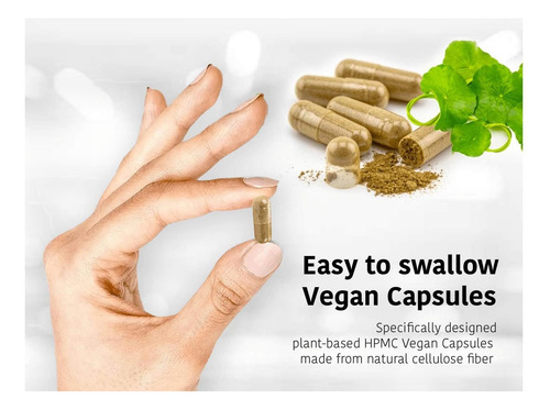 Dr Wakdes Senna Capsules (60 Caps Veg Suplemento À Base De - Imagem 18