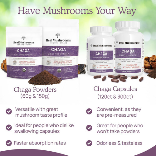 Suplemento De Cogumelos Reais: Chaga Em Pó (60 Porções) - Imagem 6