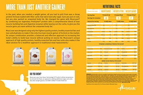Nutrição Metabólica - Musclean - Milkshake Substituição De - Imagem 4