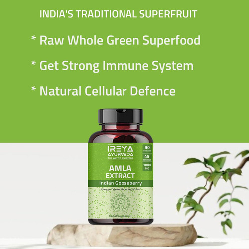 Cápsulas De Extrato De Fruta Amla De Ireya Ayurveda (90 Cáps - Imagem 12