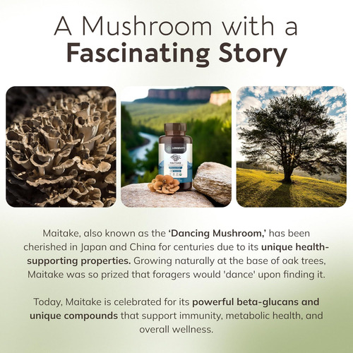 Longevity Botanicals Cápsulas De Cogumelo Maitake Orgânico - - Imagem 17