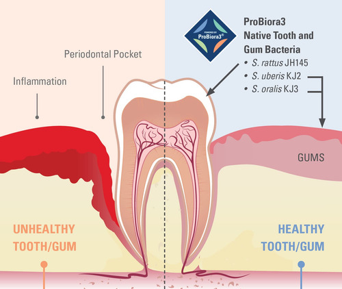 Suplemento Probiótico Probiora Oral-care Em Comprimidos Mast - Imagem 3
