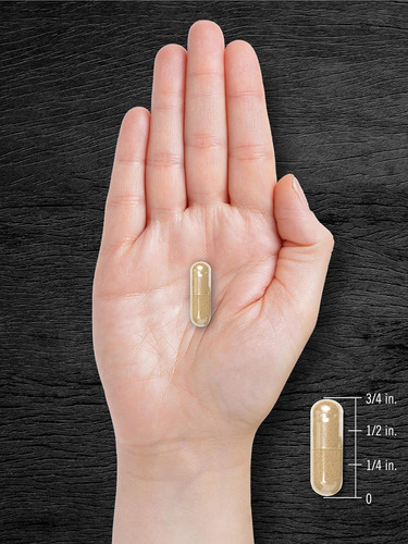 Carlyle Pygeum Padronizado 1300mg 240 Cápsulas Não Ogm - Imagem 12