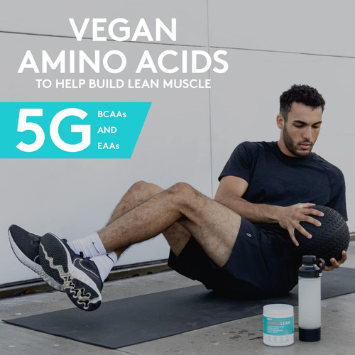 Pre Workout Powder Rsp Nutrition Aminolean Mango Flavor - Imagem 6