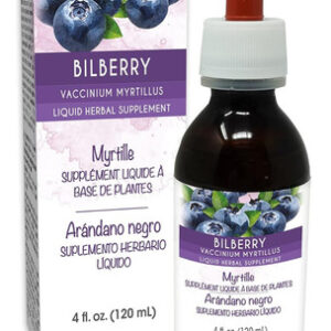 Naturalma Mirtilo Ou Mirtilo Europeu (vaccinium Myrtillus) T