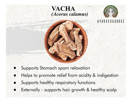 Ayurvedashree Cálamo Em Pó 100 Gm Vacha Em Pó Acoro Cála - Imagem 2