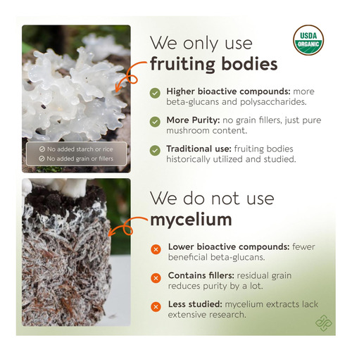 Longevity Botanicals Cogumelo Tremella Orgânico Em Pó - Supl - Imagem 3