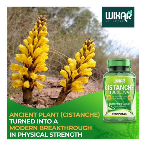 Cápsulas Wixar Naturals Cistanche Tubulosa - 50% EBrasilcosid - Imagem 6