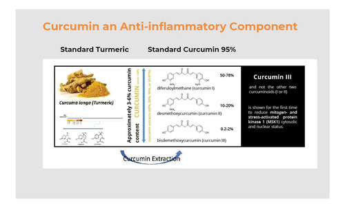Biobdmc Pro Novocurcumin Cápsulas Biobdmc50 Nova Geração - Imagem 5