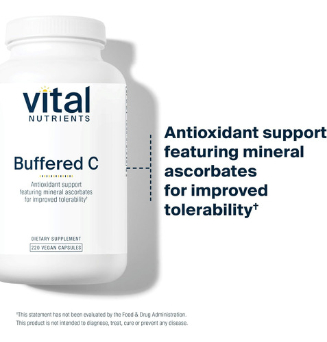 Nutrientes Vitais Vitamina C Tamponada 500 Mg Vitamina C S - Imagem 7