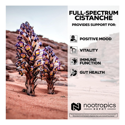 Cápsulas De Cistanche De Depósito De Nootrópicos 700mg 5 - Imagem 4