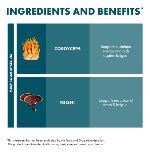 Suplemento Host Defense Cordychi Powder Energy & Immune Supp - Imagem 4