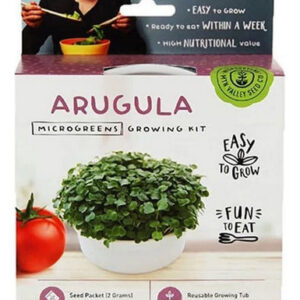 Kit Microgreen De Rúcula 1 Unidade Da Handy Pantry