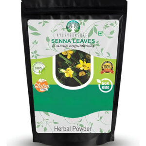 Ayurvedashree Senna Folha Em Pó 100 Gm I Cassia Angustifolia