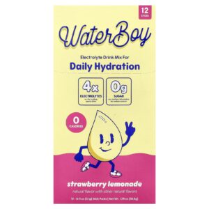 Waterboy Hidratação Diária Mistura para Bebida de Eletrólitos Limonada de Morango 12 Embalagens 31 g (011 oz) Cada