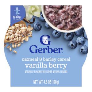 Gerber Cereal de Aveia e Cevada Mais de 12 Meses Fruto Silvestre 128 g (45 oz)