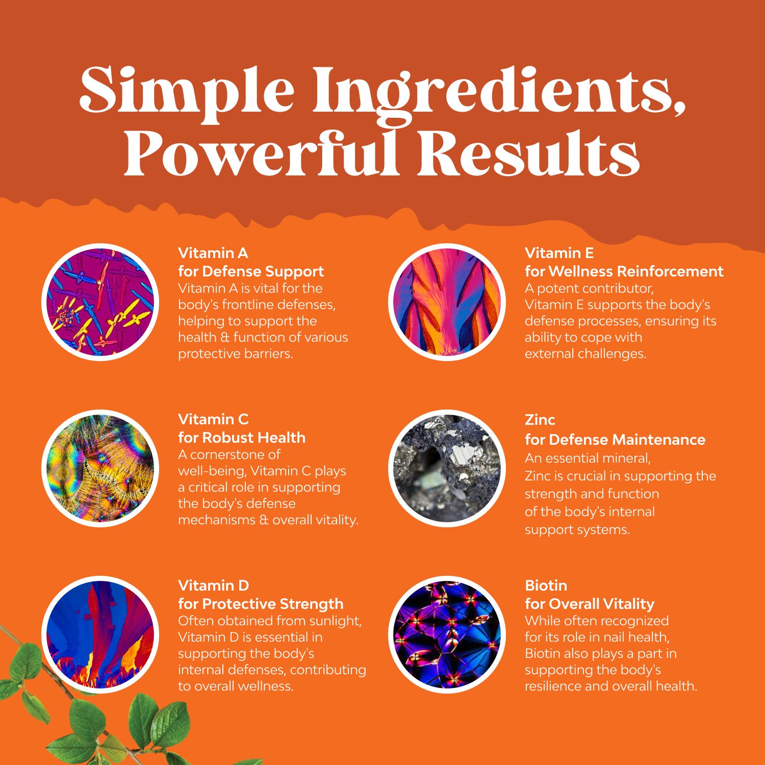 Natures Craft Gomas Multivitamínicas Laranja Cereja Morango 30 Gomas - Imagem 3
