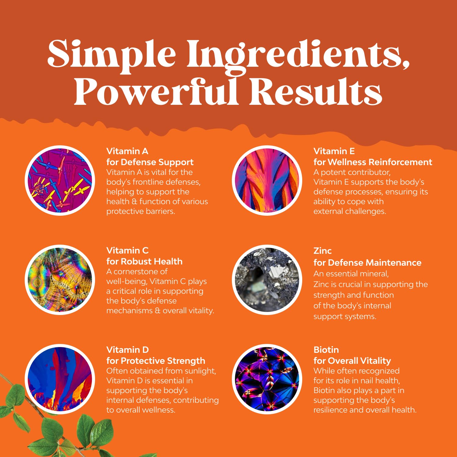 Natures Craft Gomas Multivitamínicas Laranja Cereja Morango 180 Gomas - Imagem 6