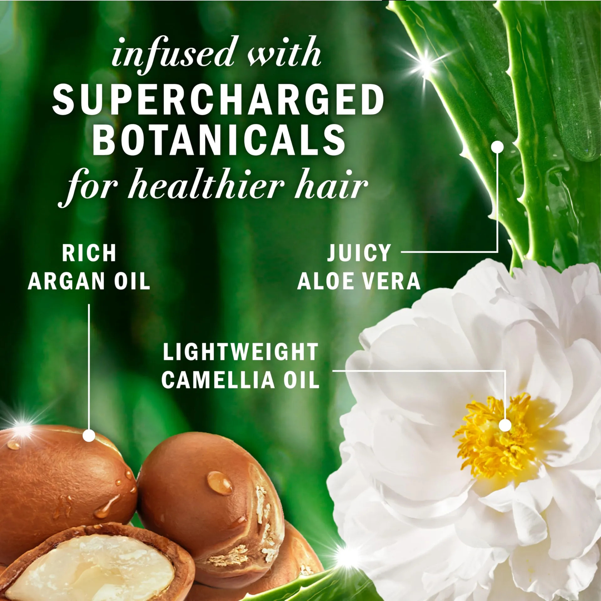 Conjunto De Shampoo E Condicionador De Óleo De Argão Herbal - Imagem 4